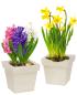 Preview: Holz Blumentopf, 2er Set