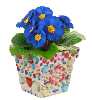 Preview: Holz Blumentopf, 2er Set