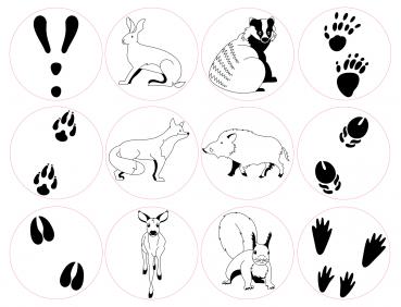 Preview: Riesenstempel Tierspuren, 12-tlg.
