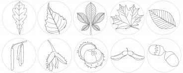 Preview: Riesenstempel Blätter, 10-tlg.